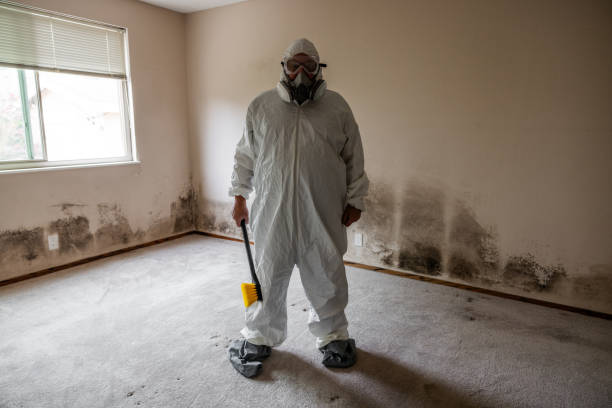 Best Toxic Mold Removal  in Lakewood Clu, MI