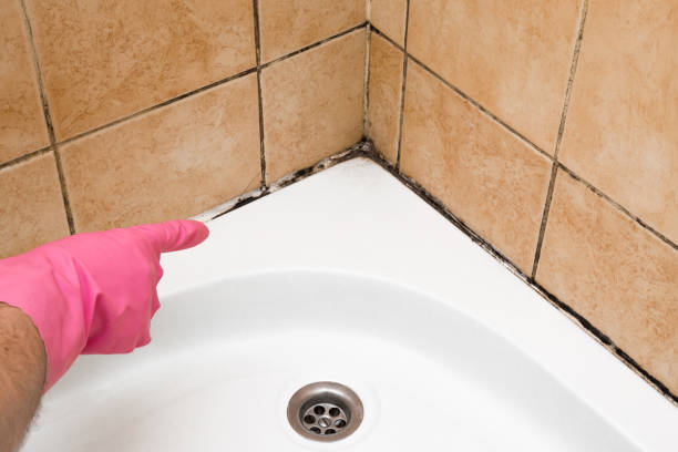 Best Mold Cleaning Services  in Lakewood Clu, MI